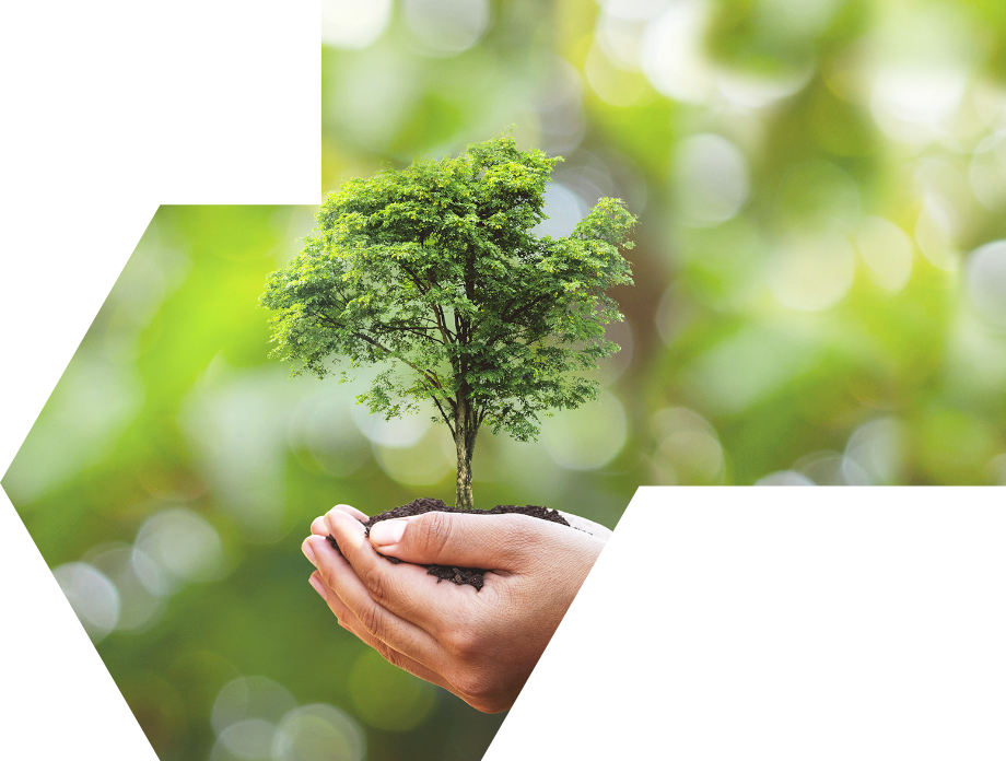 共有価値の創(chuàng)造