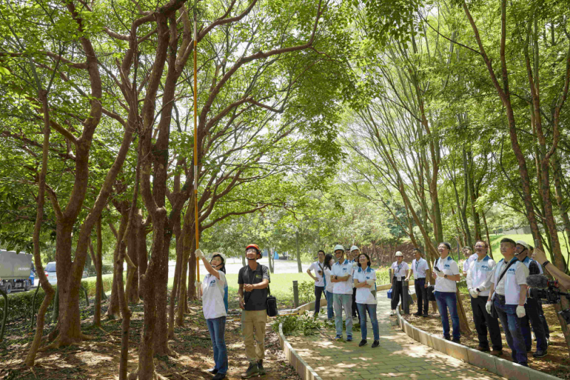 藝師教導(dǎo)大家認(rèn)識(shí)樹(shù)木、檢查樹(shù)的健康狀況，學(xué)習(xí)修枝及碎枝覆土