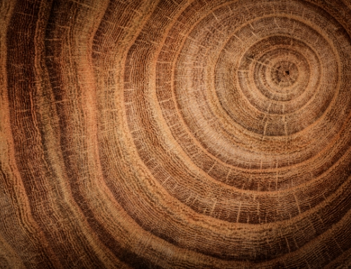 環(huán)境の持続可能性